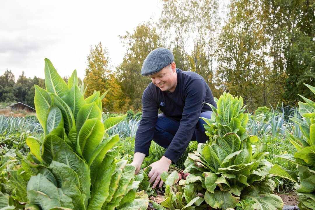 Web_Desktop-2024_ISS_FI_Chef w terenie