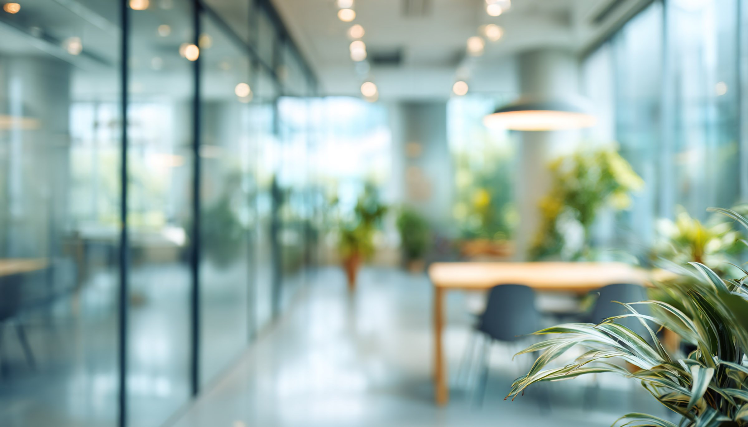 background-color_AdobeStock_1699903687